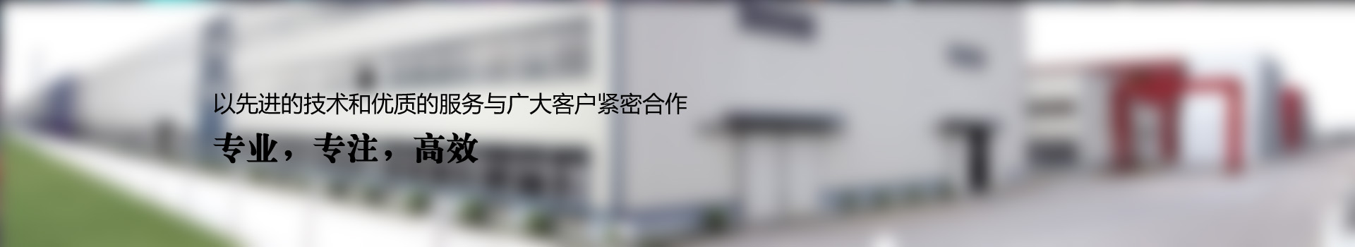 չʾ
